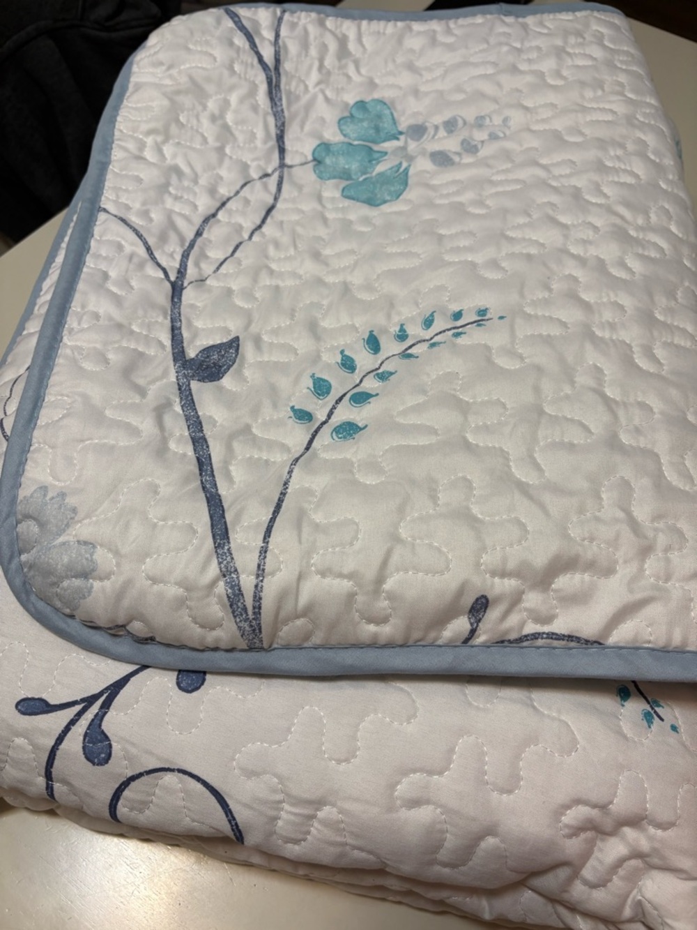 Queen Floral Quilted Bedspread with (2) Pillow Shams - White with Blue Accents